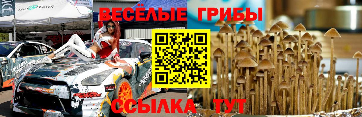 Елизово  Псилоцибиновые грибы Magic Shrooms  Вход с VPN 